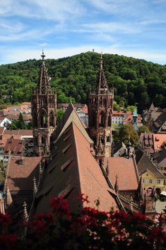 Historic town Freiburg im Breisgau Minster with Schlossberg