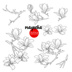 Branch of magnolia blossoms, Stock line vector illustration bota - obrazy, fototapety, plakaty