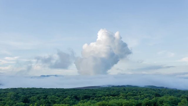 The atmosphere is tainted by air pollution as smoke and smog envelop the landscape, emanating from industrial activities, particularly a coal power plant in the morning mist