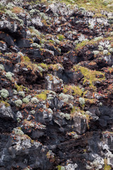 Geological structure of mountain