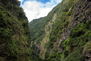 Coastal mountain landscape