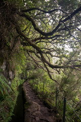 Levada of Caldeirao Verde
