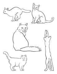 Cat line on a white background vector 03. Good use for symbol, logo, web icon, mascot, sign, or any design you want.