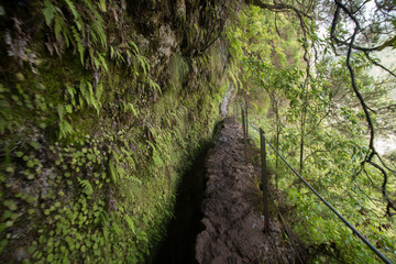Levada of Caldeirao Verde