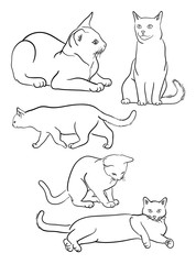 Cat line on a white background vector 06. Good use for symbol, logo, web icon, mascot, sign, or any design you want.