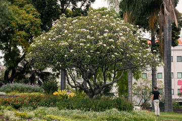 Urban park Santa Catarina