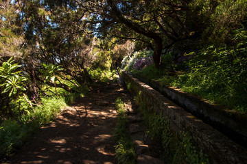 Levada of 25 fontes