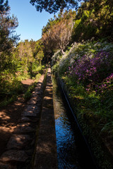 Levada of 25 fontes