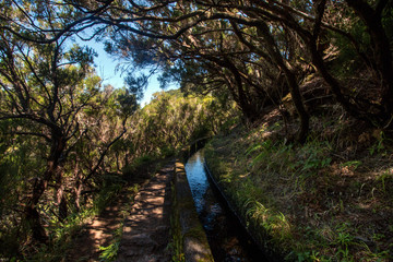 Levada of 25 fontes