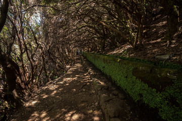 Levada of 25 fontes
