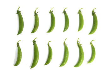 Pea
