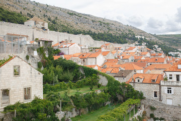 Obraz premium Fruit garden in the old town. Dubrovnik, Croatia