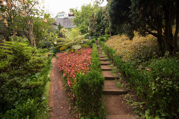 Tropical garden Monte Palace