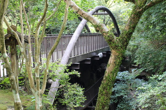 湯河原　万葉公園/湯河原温泉街の中心部、朱塗りの橋を渡った千歳川沿いの緑地公園。園内には、湯河原温泉が歌に詠まれた万葉集に登場する草花が植えられています。&ldquo;日本の歴史公園100選&rdquo;に認定されています。