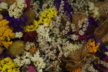 Fototapeta na wymiar Bouquet of dried flowers