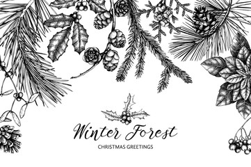 Obraz premium Vector frame with hand drawn conifers, holly berries, mistletoe, cones, mountain ash. Holiday decor elements. Vintage Christmas or New Year card design. Winter template