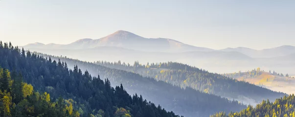 Fototapeten Amazing soft sunrise panorama in mountains. Cerpathian mountain peaks and hills in autumn over the tops of pine trees © bilanol