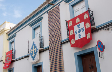 Old Medieval Portuguese flags