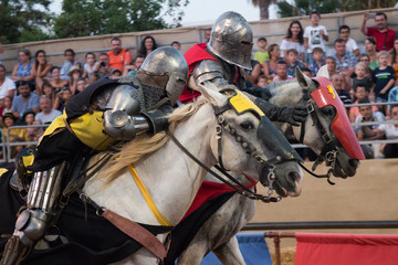 Two medieval warriors in armor, race in horses in the arena.
