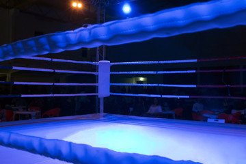 Kickboxer ring detail