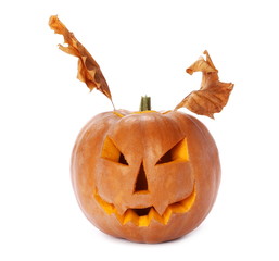 Halloween pumpkin with scary face. Jack O' Lantern isolated on white