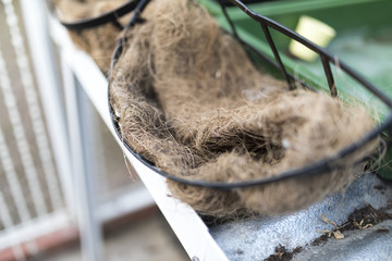 20 inch wrought iron wall trough, wall manger hanging basket fibre liner in a green house or potting shed