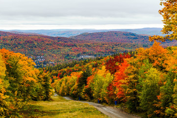 Obraz premium Widok na okoliczne wzgórza i łąki Mont-Tremblant jesienią, Quebec, Kanada