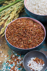 Green rice ears from Camargue rice fields in France and valiety of dried rice in bowls