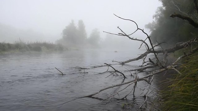 Morning fog on the Loire river