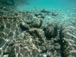 Underwater sea scene