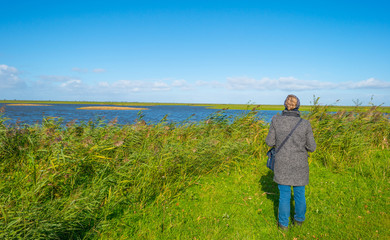  Shore of a lake below a blue sky in autumn