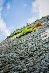 Ruines de l'Hôpital dit des Anglais à Peyrusse-le-Roc