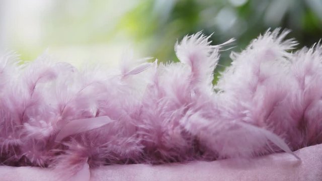 Purple feather pillow