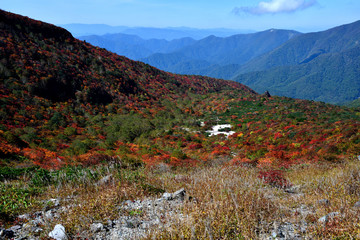 栃木県那須郡那須町　秋の茶臼岳　姥ケ平の紅葉　