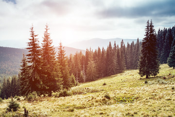 View of the magic valley which glowing by sunlight. Retro and vintage style. Instagram toning effect.