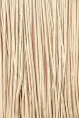 Little tree trunk background