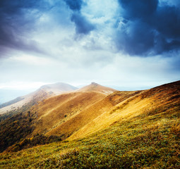 Majestic yellow hills glowing by sunlight a day. Location place Carpathian, Ukraine, Europe.
