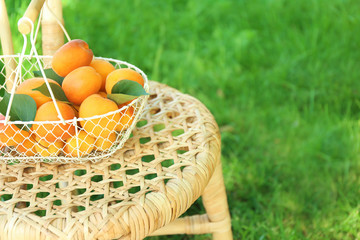 Basket with fresh apricots on wicker chair