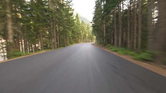 Mt Rainier National Park Driving Template Alpine Forest Washington USA 11