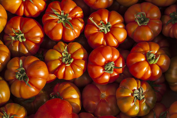 Tomaten