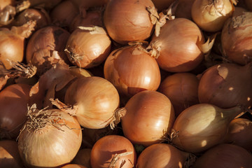 Zwiebeln auf dem Wochenmarkt, Zwiebeln zum Verkauf 