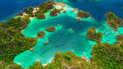 Fototapeta na wymiar Pianemo islands. Raja Ampat, West Papua, Indonesia.