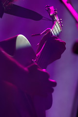 Guitar player in concert