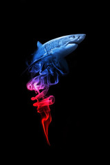 Shark animal kingdom collection with amazing effects