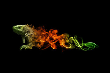 Lizard animal kingdom collection with amazing effect
