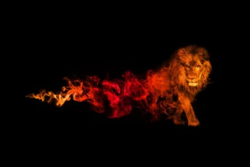 Gordijnen Lion Animal Kingdom-collectie met geweldig effect © Effect of Darkness