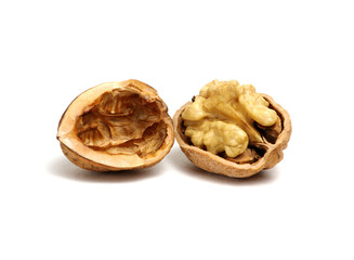 cracked walnut on white