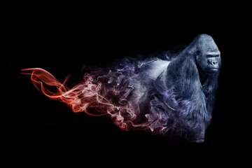 Gorilla-Tierreich-Sammlung mit erstaunlicher Wirkung © Effect of Darkness