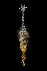 Giraffe africa wildlife image of the animal kingdom collection with amazing effect