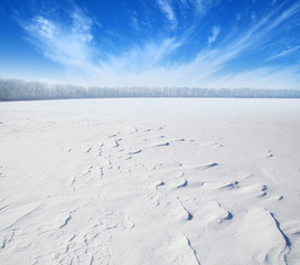 field of snow